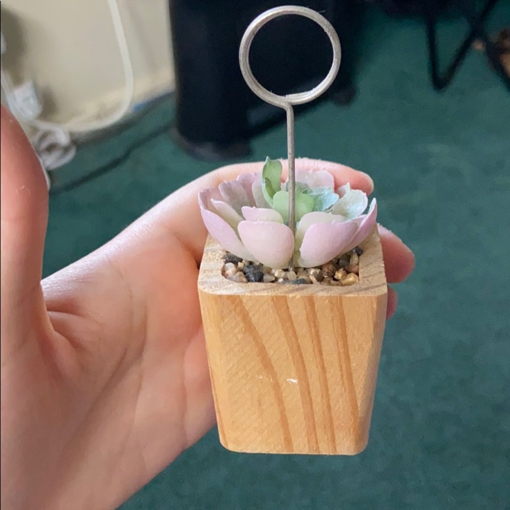 Fake plant for pinning a picture